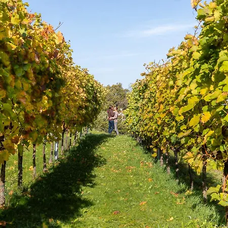 Bed & Breakfast Vinařství Peřina 3*