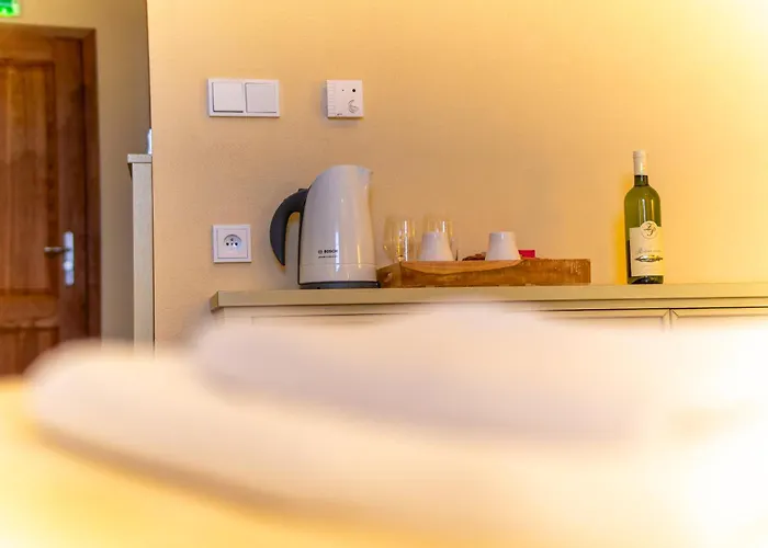 Vinarstvi Perina Bed and Breakfast Klentnice